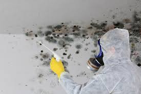 Best Residential Mold Inspection & Testing in Dovesville, SC